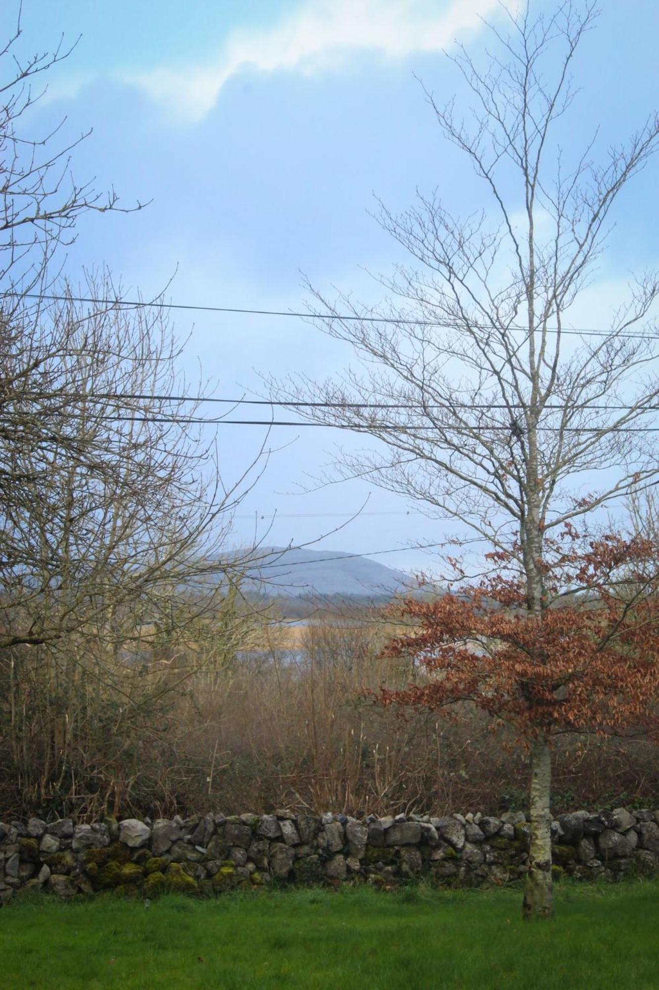 Riverside Cottage In The Burren Corofin  ภายนอก รูปภาพ