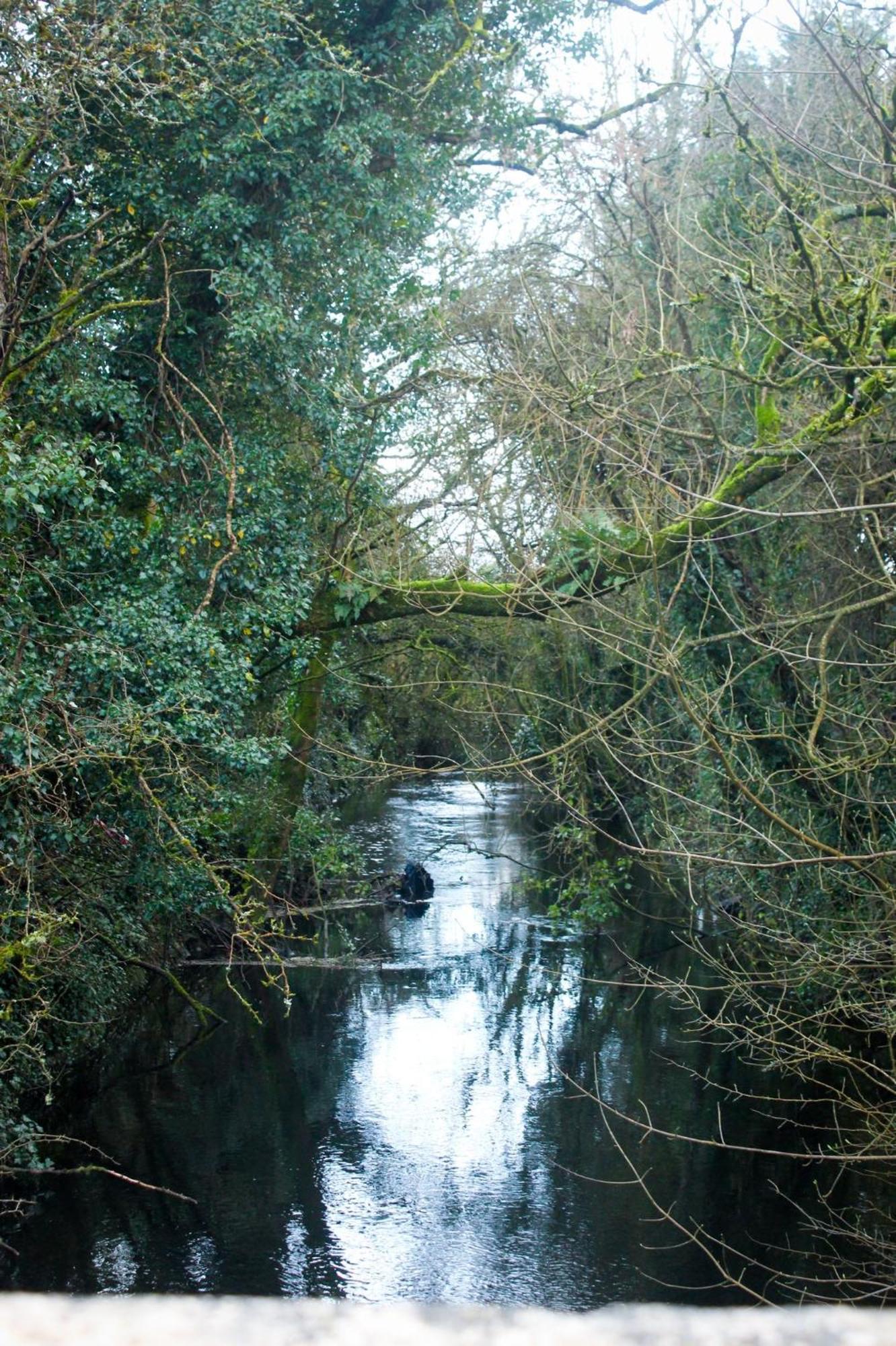 Riverside Cottage In The Burren Corofin  ภายนอก รูปภาพ